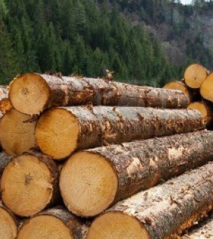 Норвегия увеличила экспорт изделий из древесины.
